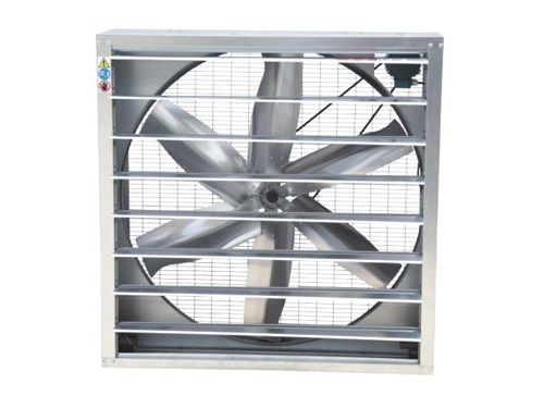 ����ؓ���L�C